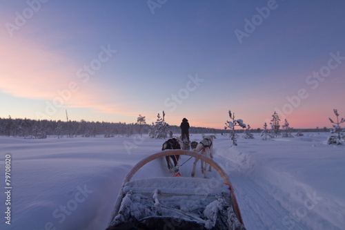 Husky dog sledding ride at sunset in Lapland. First person view, sun setting in snowy winter landscape