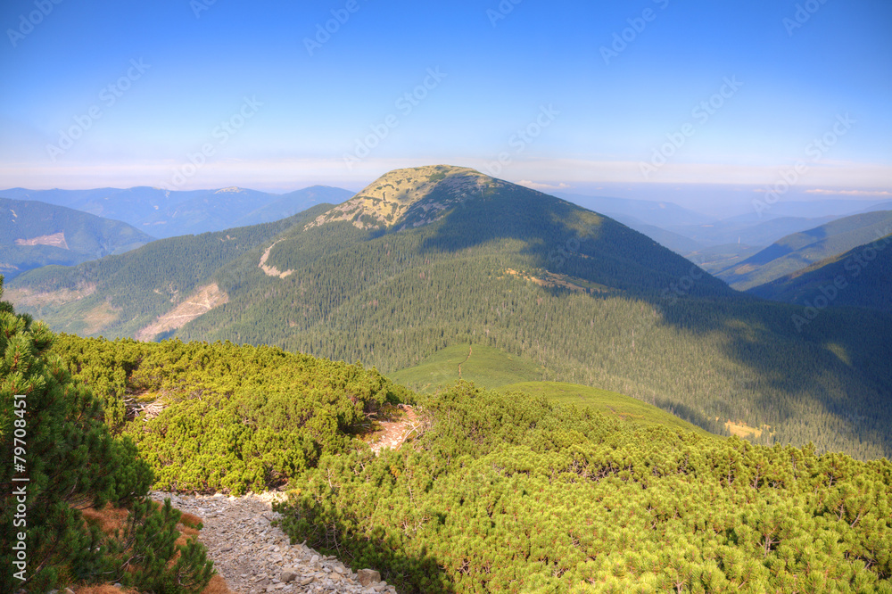 Fototapeta premium Pathway in mountains