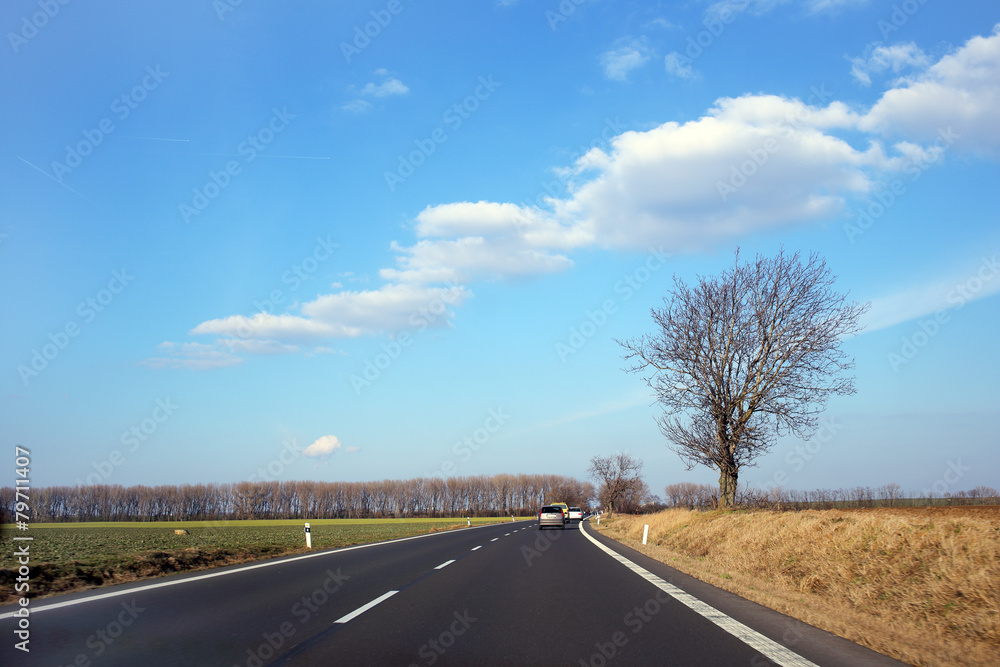 Fototapeta premium asphalt road