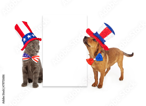 Fototapeta Naklejka Na Ścianę i Meble -  Patriotic Puppy and Kitten Blank Sign