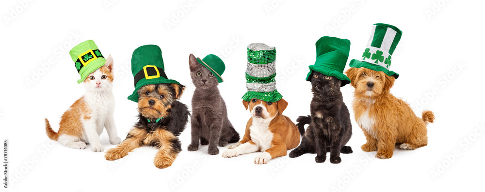 Naklejka premium St Patricks Day Puppies and Kittens