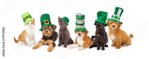 St Patricks Day Puppies and Kittens