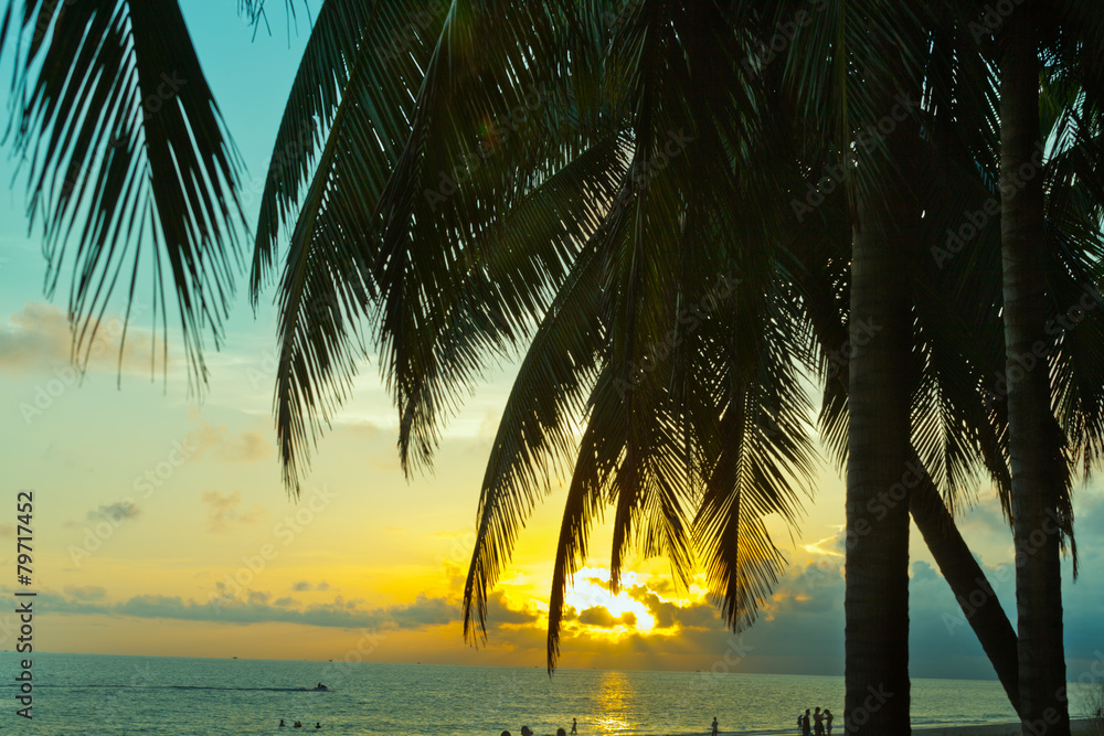 sunset palm beach