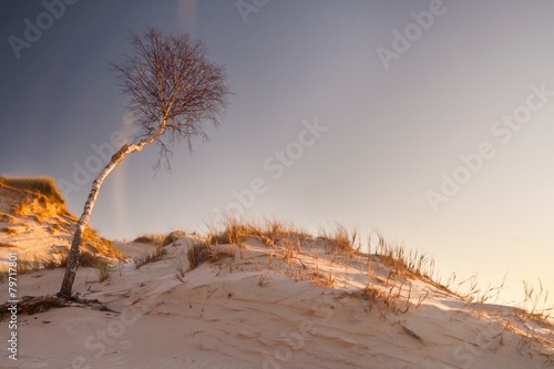 Dunes at sunrise landscape photo