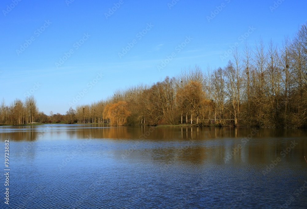 étang en Picardie
