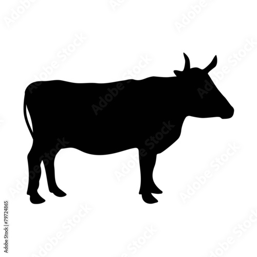 Rind Silhouette