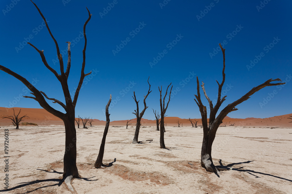 Dead Vlei