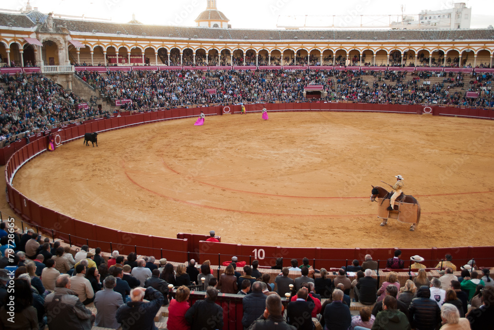 Arena foto de Stock | Adobe Stock