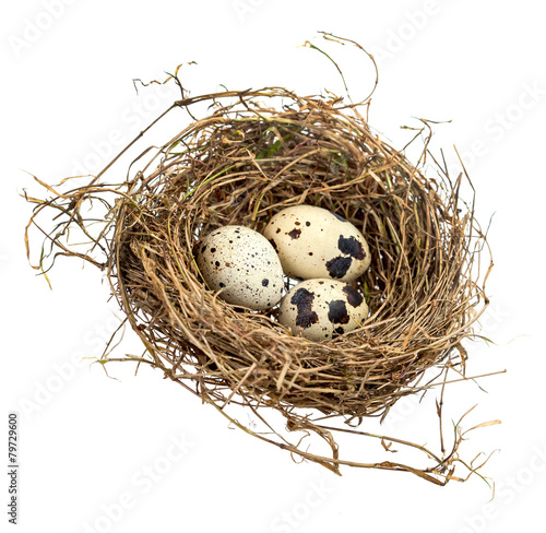 Three spotted eggs in a hay nest