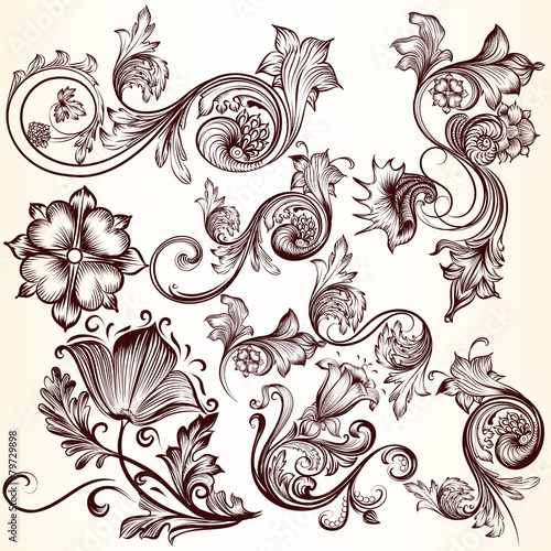 Collection of vector decorative swirls for design