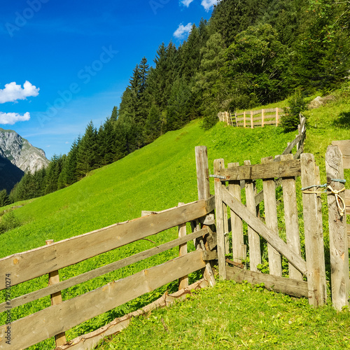 Holzgatter und Tor zur Kuhweide photo