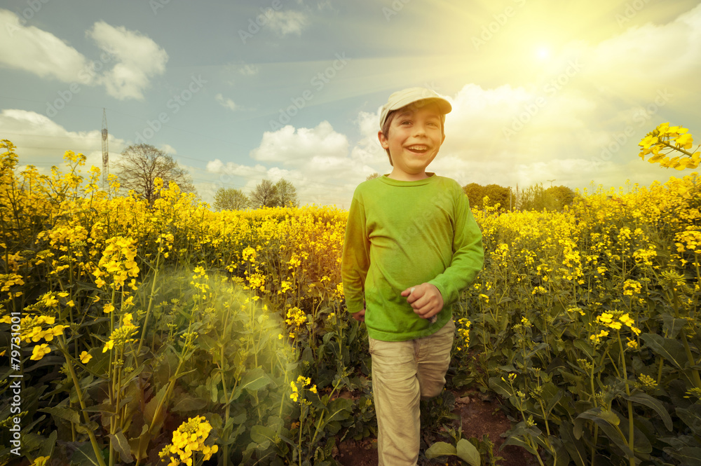Fototapeta premium Boy on rapeseed field, tinted image