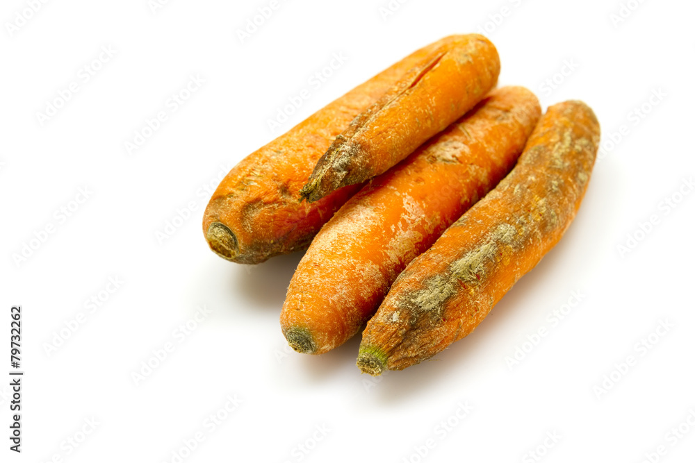 rotten carrots rotten carrots