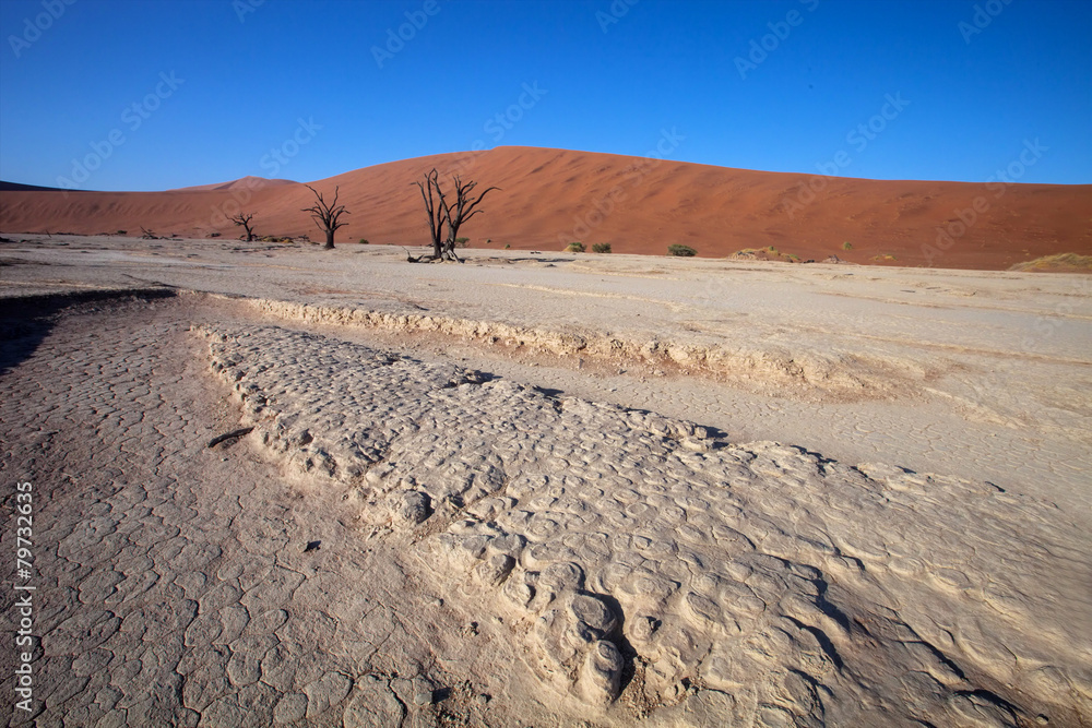 stiff cracked soil Sossusvlei, Namibia - obrazy, fototapety, plakaty 
