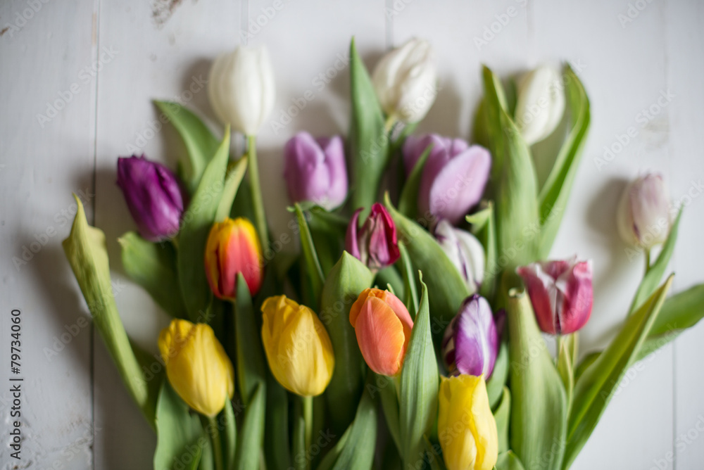 Naklejka premium tulips
