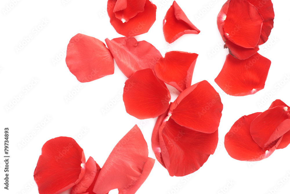 Surface covered with rose petals Surface covered with rose petals