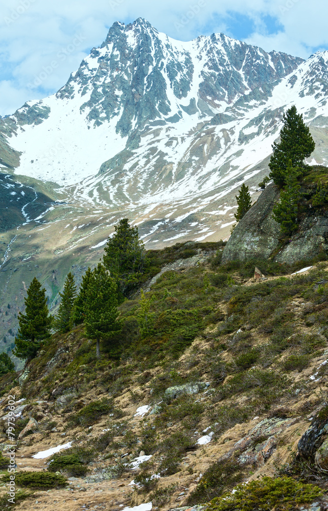 Fototapeta premium Summer Alps mountain landscape (Austria).