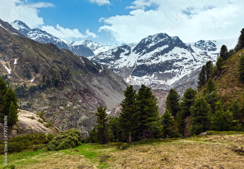 Summer Alps mountain landscape (Austria).