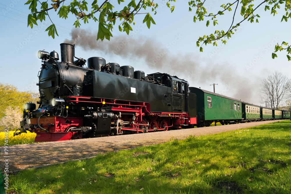 Naklejka premium Historical German steam train in spring