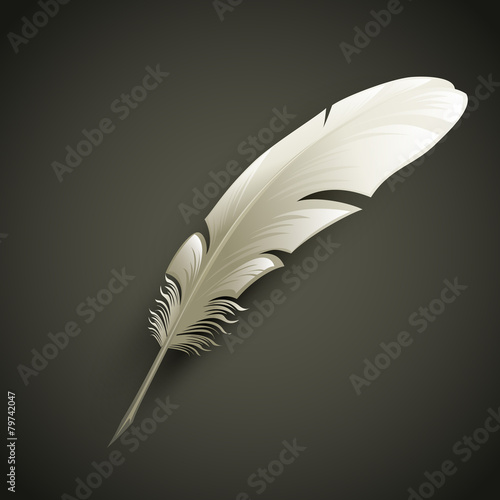 Feather. Vector illustration