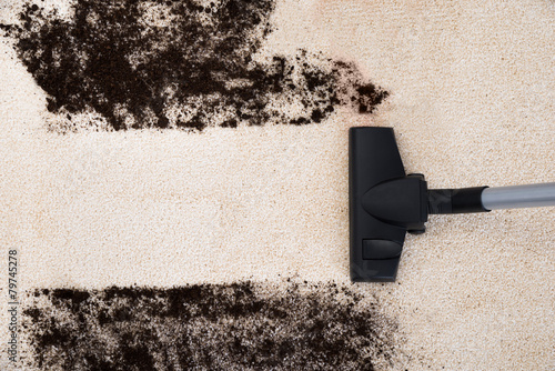 Vacuum Cleaner Cleaning Carpet photo