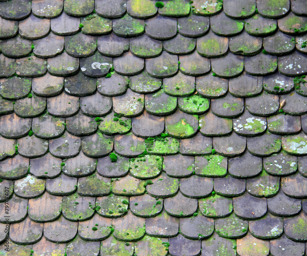 background of an old tile background of an old tile