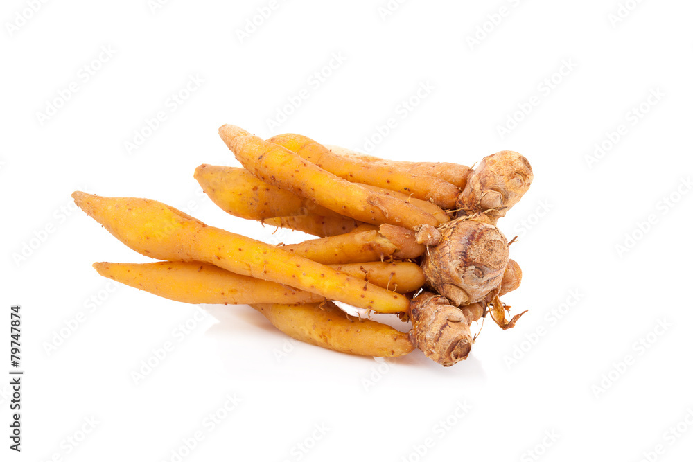 Fingerroot, Kaempfer, Boesenbergia on white background Fingerroot, Kaempfer, Boesenbergia on white background