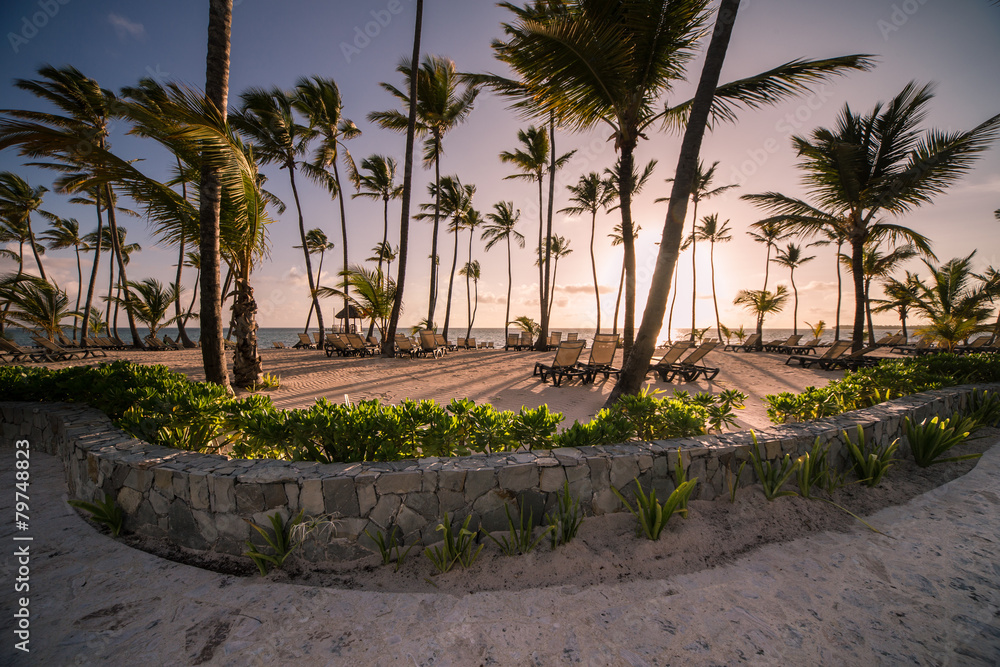 Fototapeta premium Beautiful tropical beach with silhouettes of palm trees