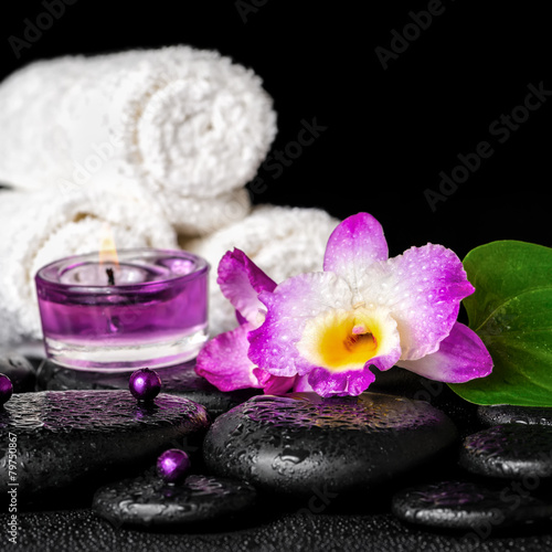 spa concept of orchid flower  zen basalt stones with drops  purp