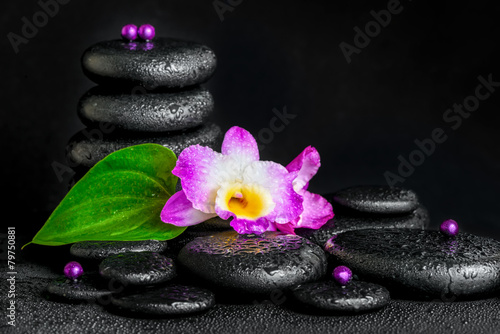 spa concept of purple orchid flower  green leaf  pyramid zen bas