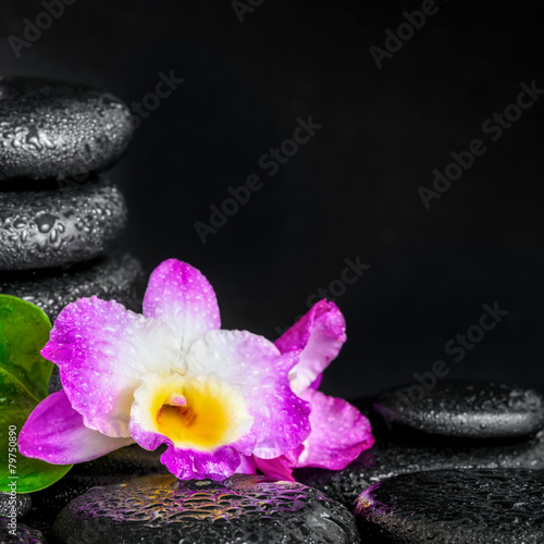 spa concept of orchid flower, green leaf, pyramid zen basalt sto