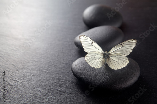 Photography Zen stone garden