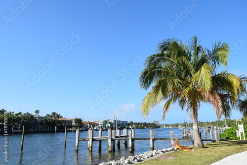 Palm Trees on Florida Intracoastal Waterway © Rexi Video