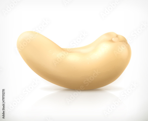 Cashew nuts, vector icon