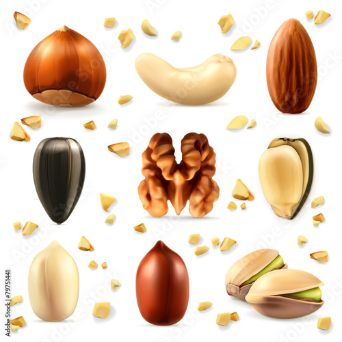 Nuts, vector icon set