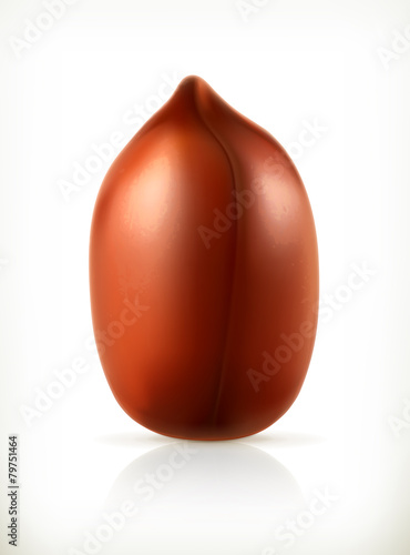 Peanut, vector icon