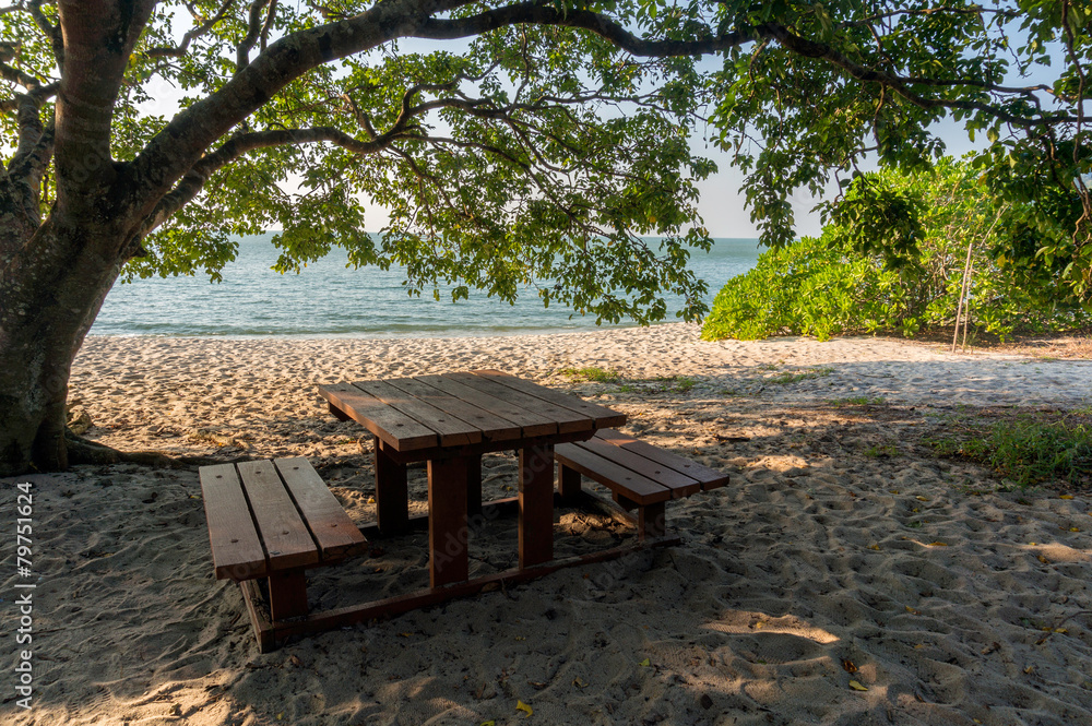 Table and benches under the tree at beach