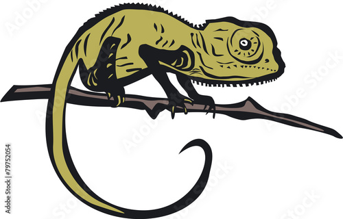 Chameleon vector illustration