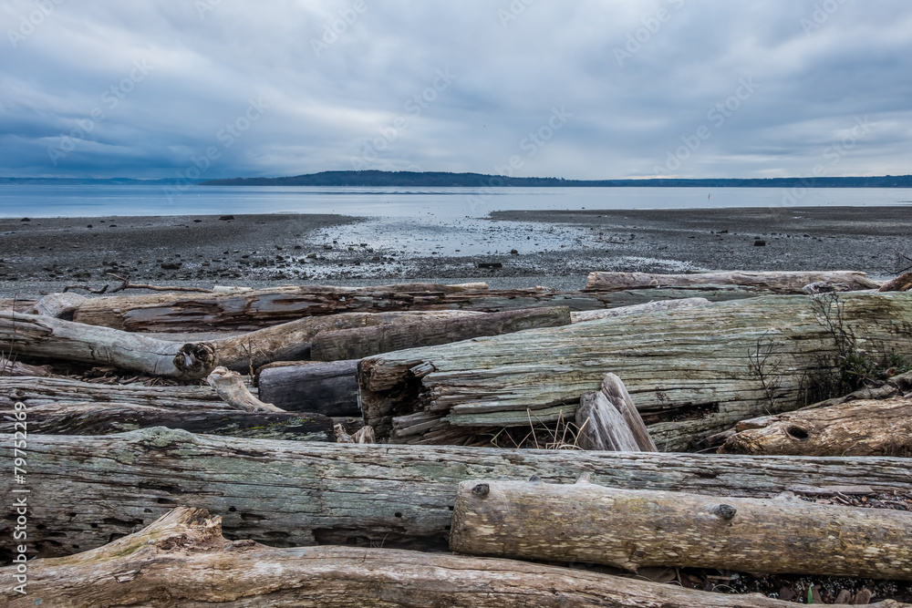 Serene Puget Sound At Low Tide - Normandy Park, Washington