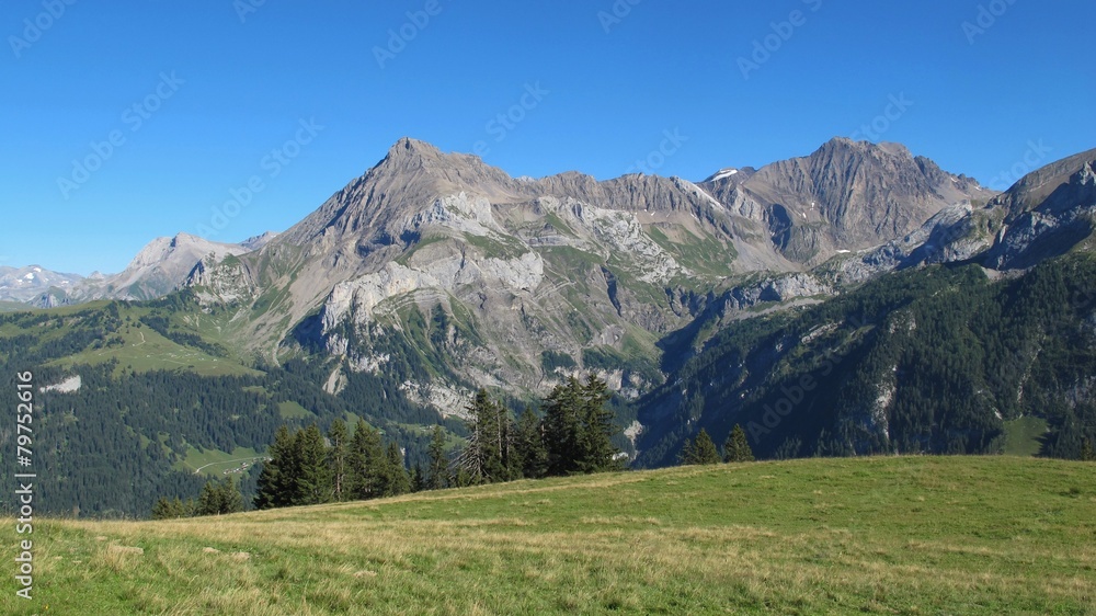 Beautiful mountains near Gstaad