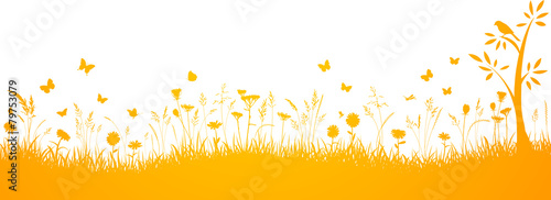 Herbstwiese Hintergrund
