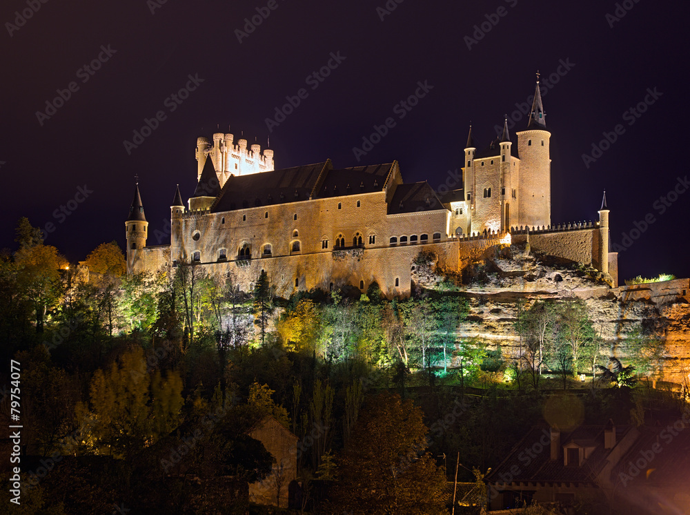  Castle of Segovia in midnight