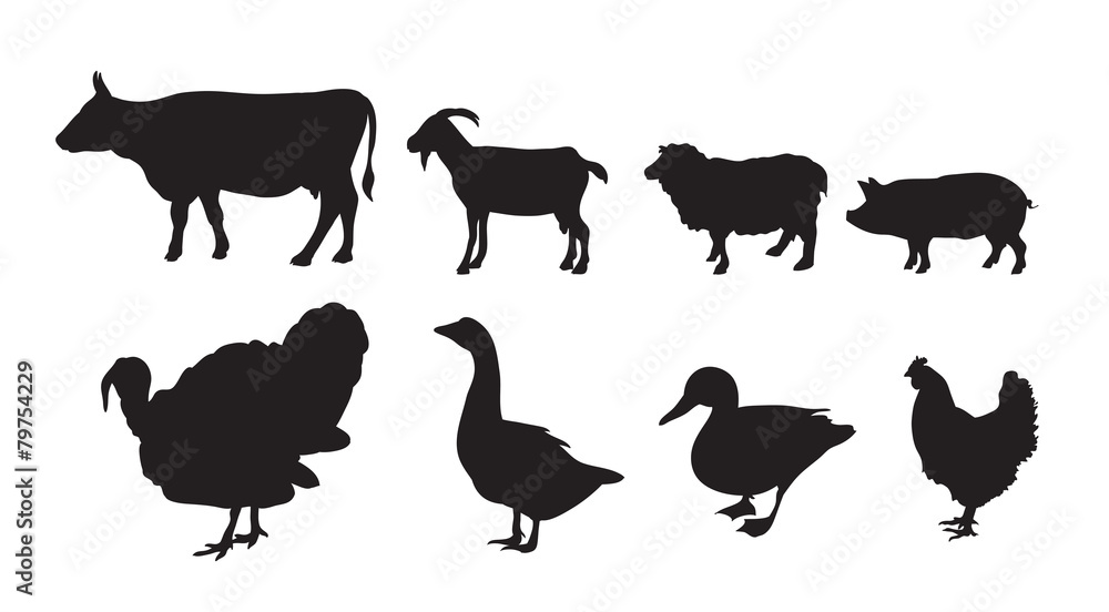 Vector farm animal Vector farm animal