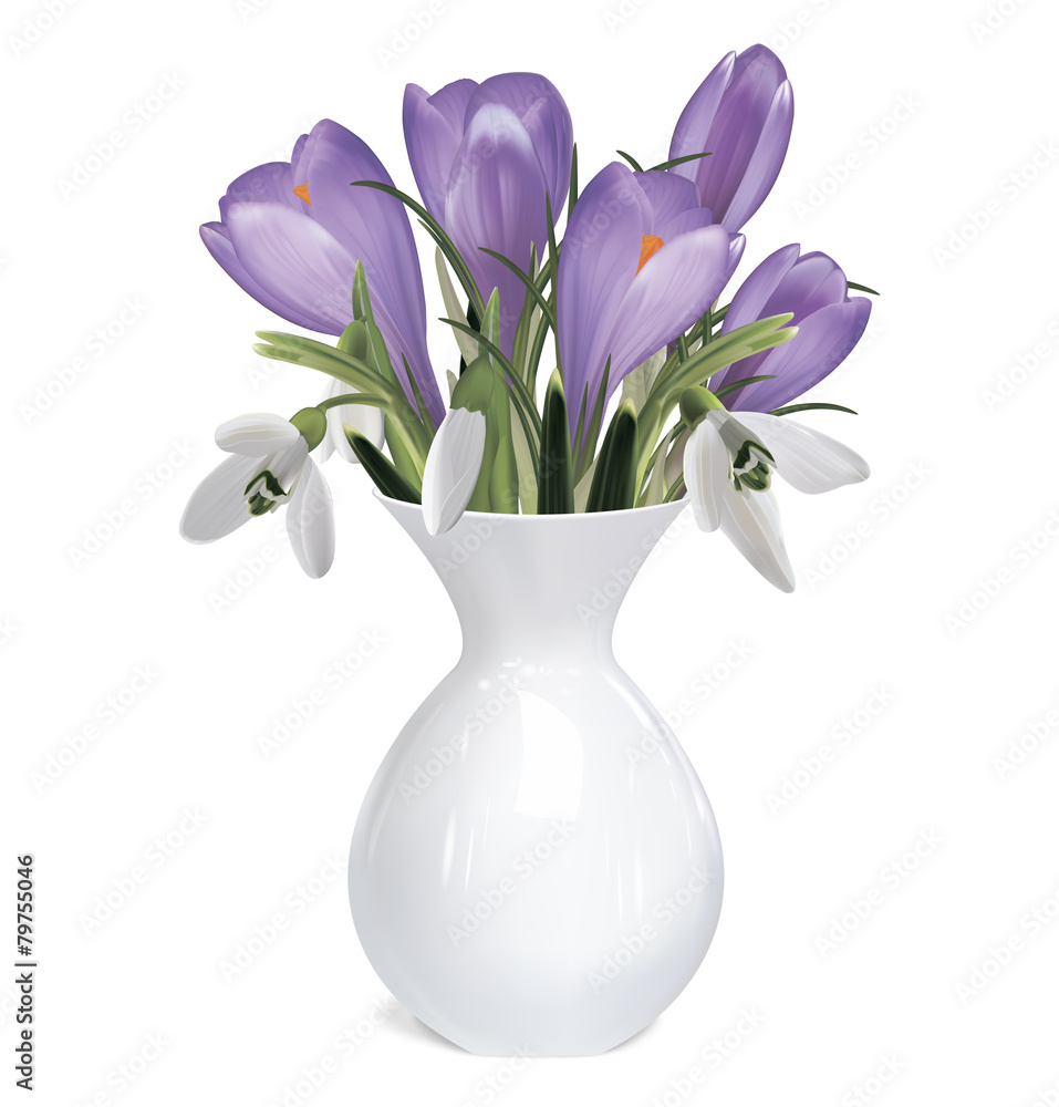 Bouquet of crocuses and snowdrops. Vector illustration Bouquet of crocuses and snowdrops. Vector illustration