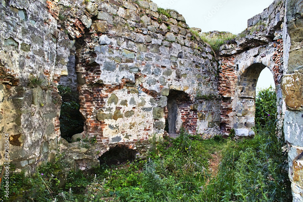 ruins of an ancient Ukrainian castle ruins of an ancient Ukrainian castle