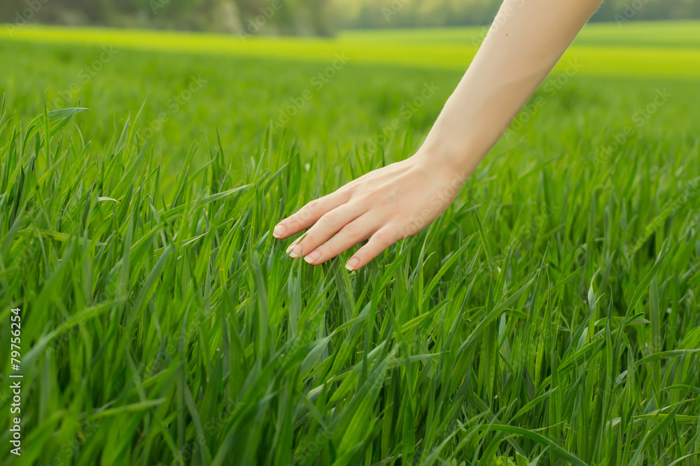 close up of a woman's hand touching the saturated grass, 'feelin close up of a woman's hand touching the saturated grass, 'feelin