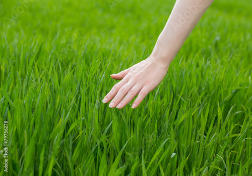 close up of a woman's hand touching the saturated grass, 'feelin