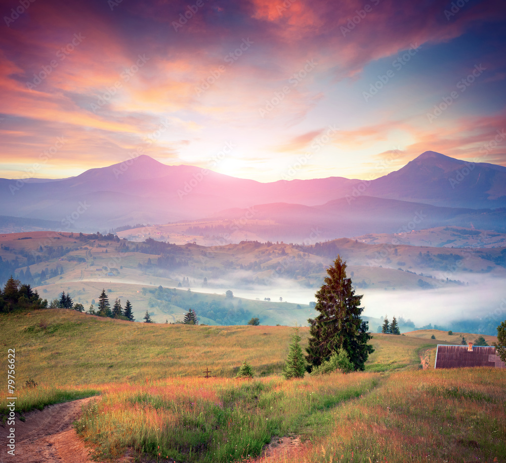 Naklejka premium Colorful summer sunrise in the Carpathians