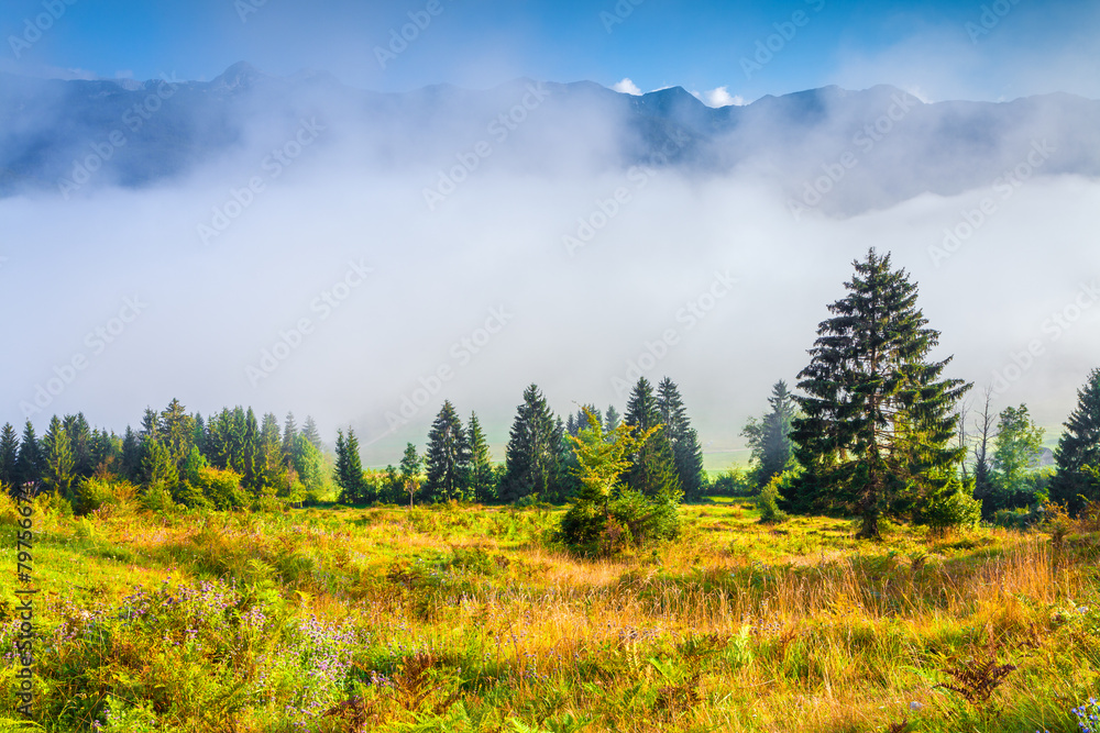 Foggy summer morning in the Triglav national park Foggy summer morning in the Triglav national park