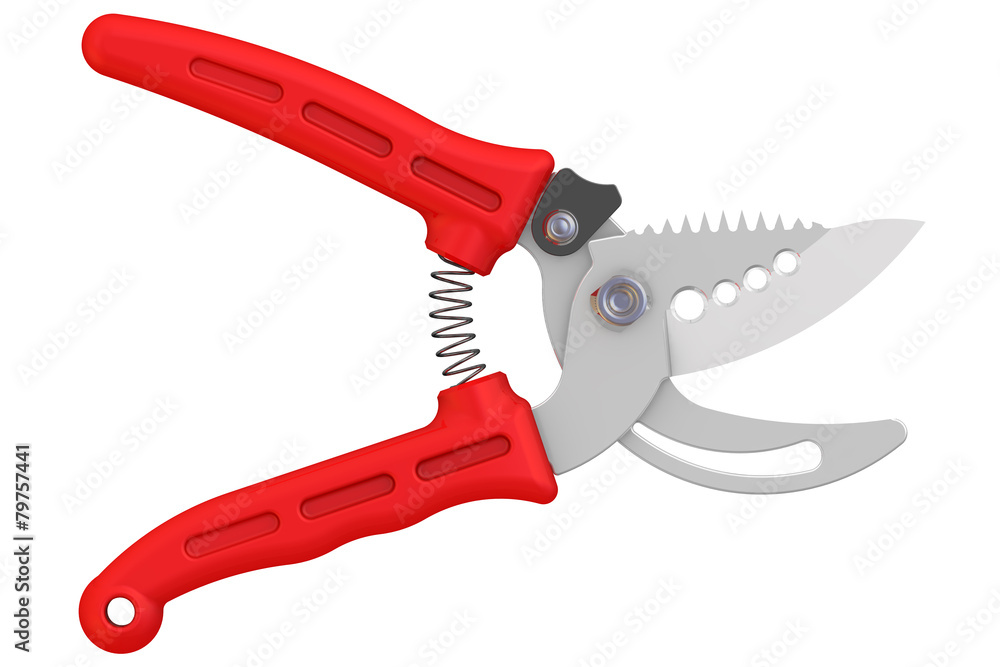 Садовые ножницы (секатор)